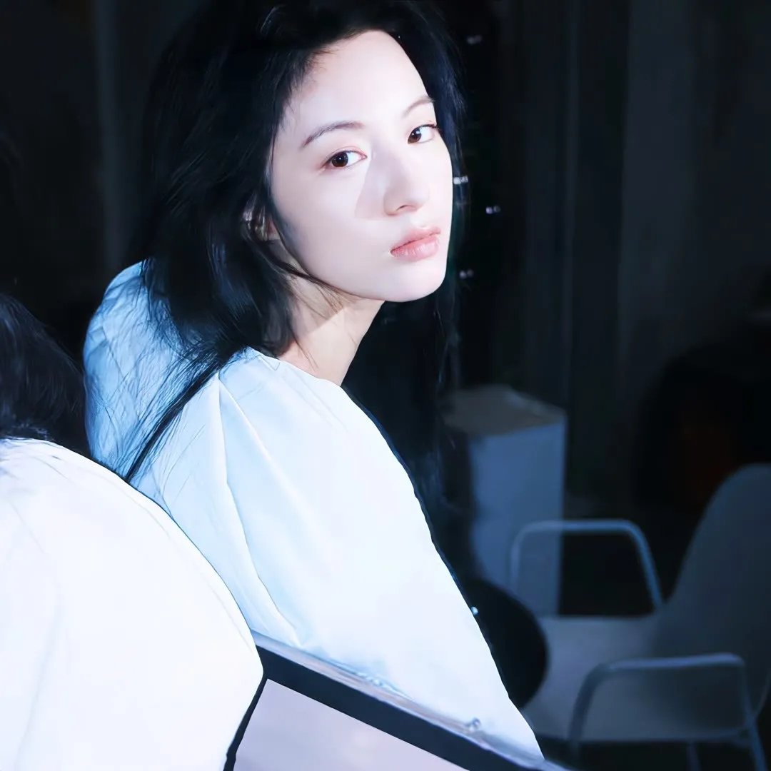 布里斯比熊